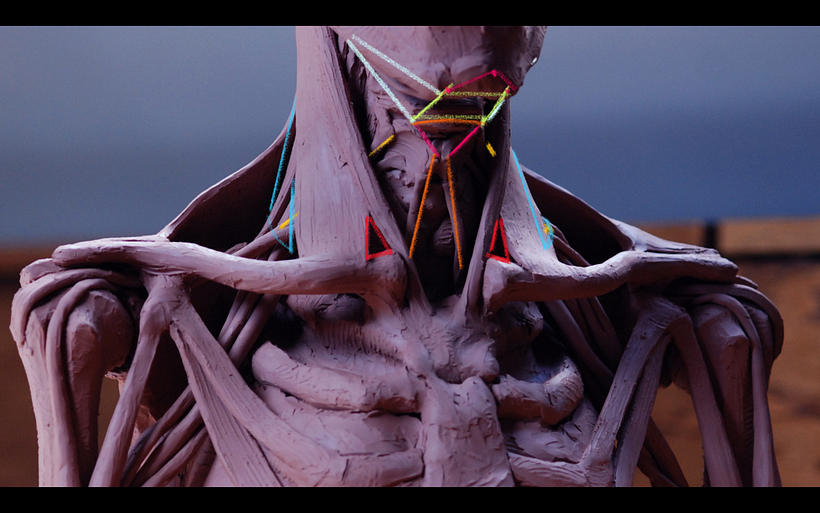 I constructed and then annotated this Neck Écorché to teach my students about the aesthetic triangles within
