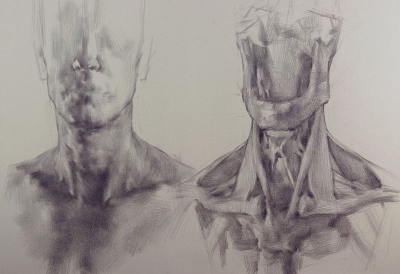 The human neck can add such resonance to a portrait