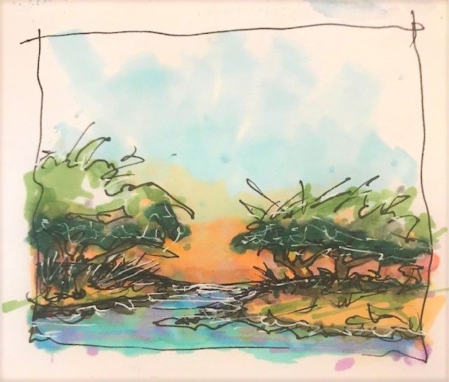 Sunset on Florida's West Coast ... the Golden/Happy Hour in the Mangroves