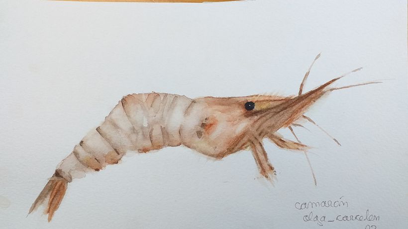 Mi proyecto del curso: Ilustración de universos marinos en acuarela 3