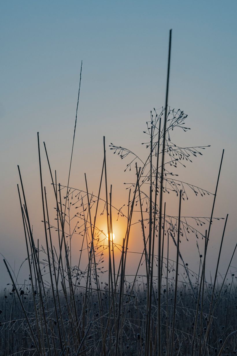 Mi Proyecto del curso: Fotografía de paisaje y naturaleza 4