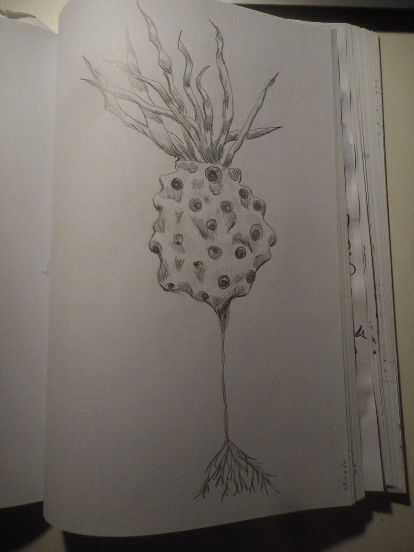 Imaginary Creatures from Nature 5