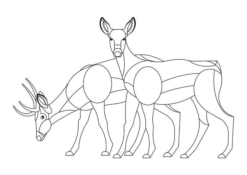 Full view shapes