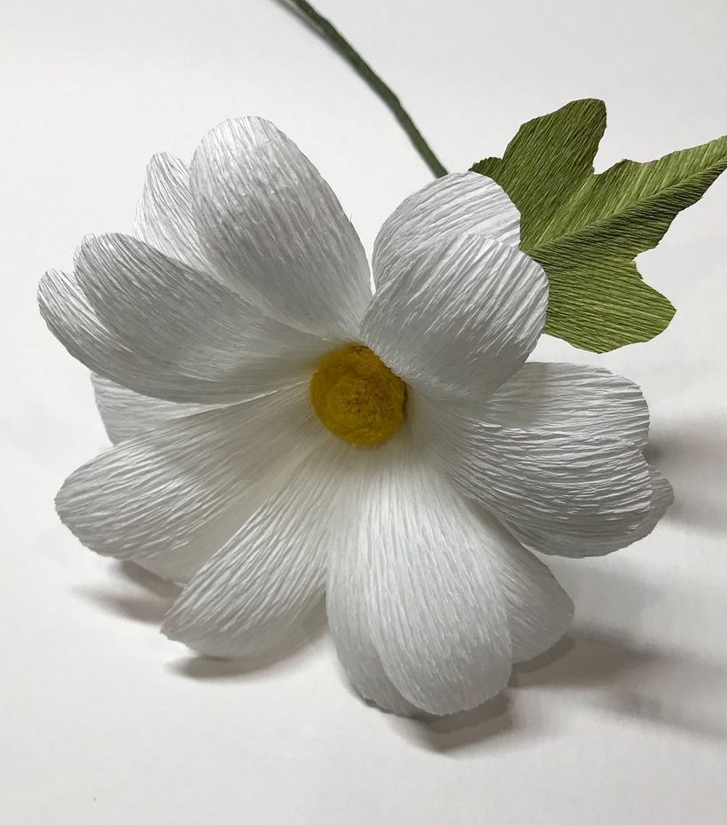My project for course: Realistic Paper Flower Design 3