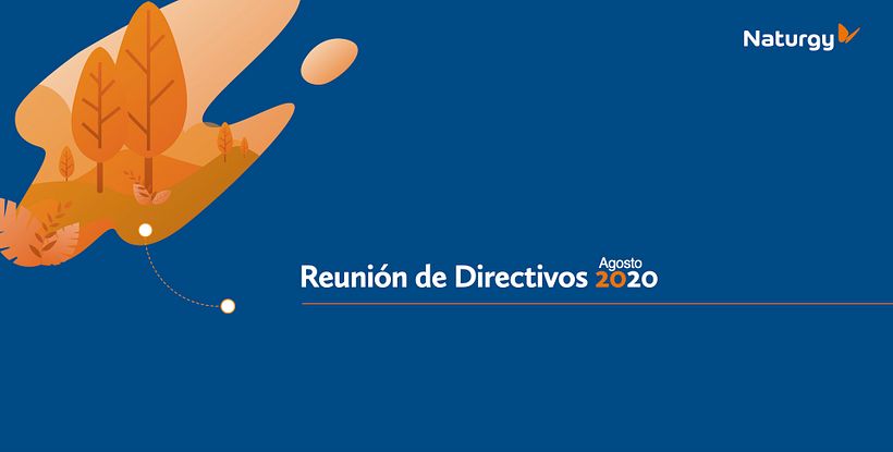 Mi proyecto del curso: Principios de diseño para presentaciones Presentación Naturgy 2