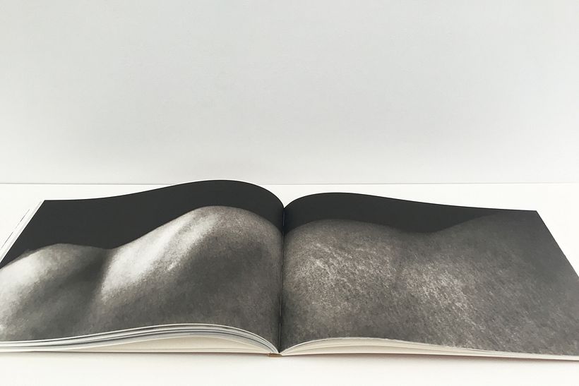 Cuando aún nevaba, 2016 Fotograbado sobre papel Canson Edition 250 g Pliegos de 27,5 x 84 cm