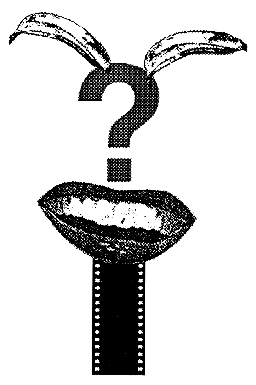 Ilustrações para o jornal The New York Times 3