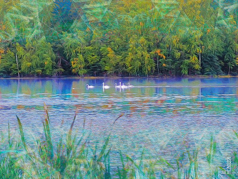 Digital graphic work 6