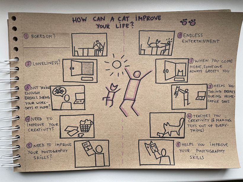 My project for course: How Can a Cat Improve Your Life 2