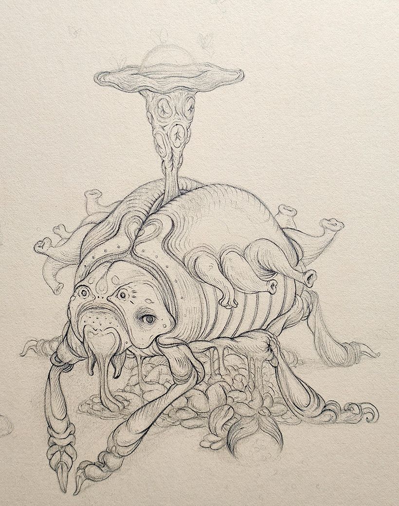 Primer paso: Contorno de línea con bolígrafo Bic