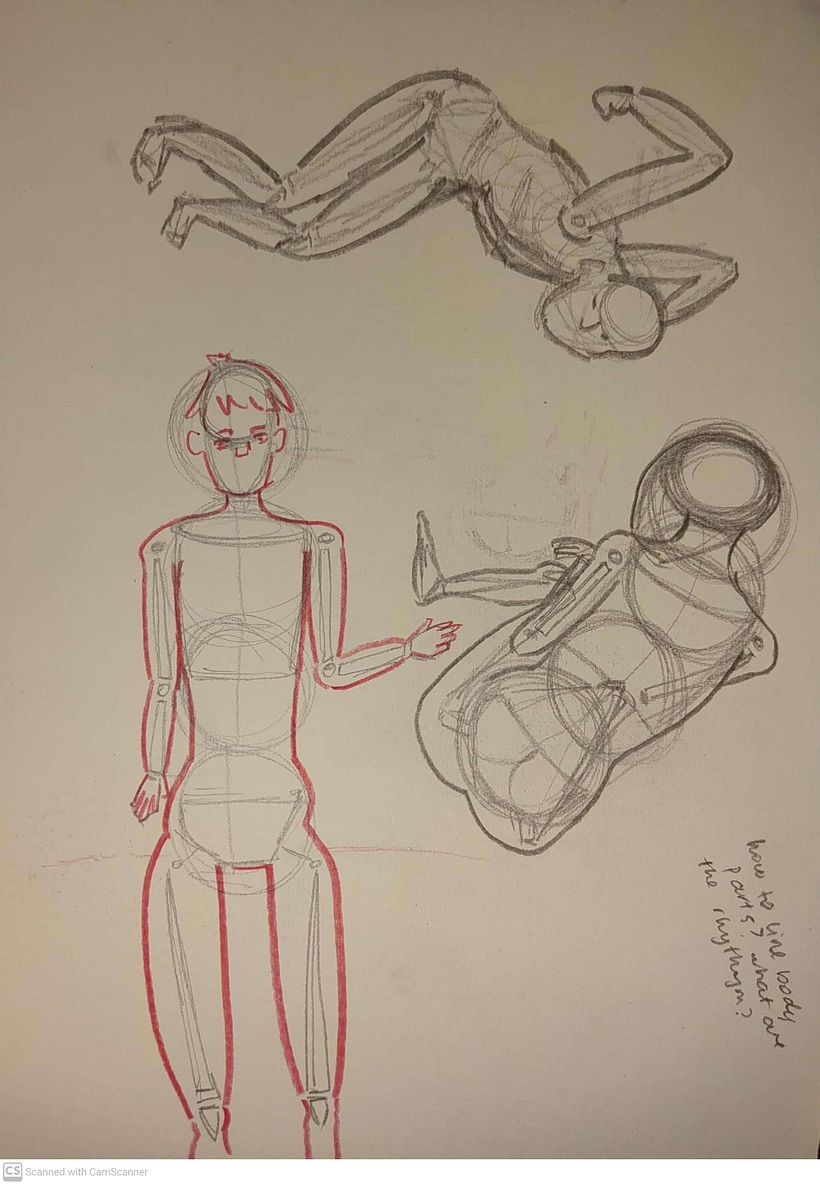 Mi proyecto del curso: Dibujo anatómico para principiantes 2