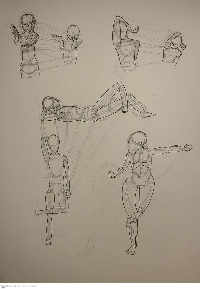 Mi proyecto del curso: Dibujo anatómico para principiantes 4