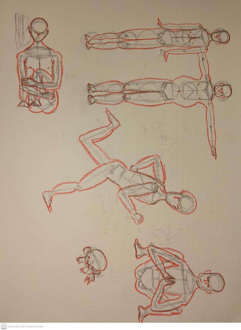 Mi proyecto del curso: Dibujo anatómico para principiantes 6