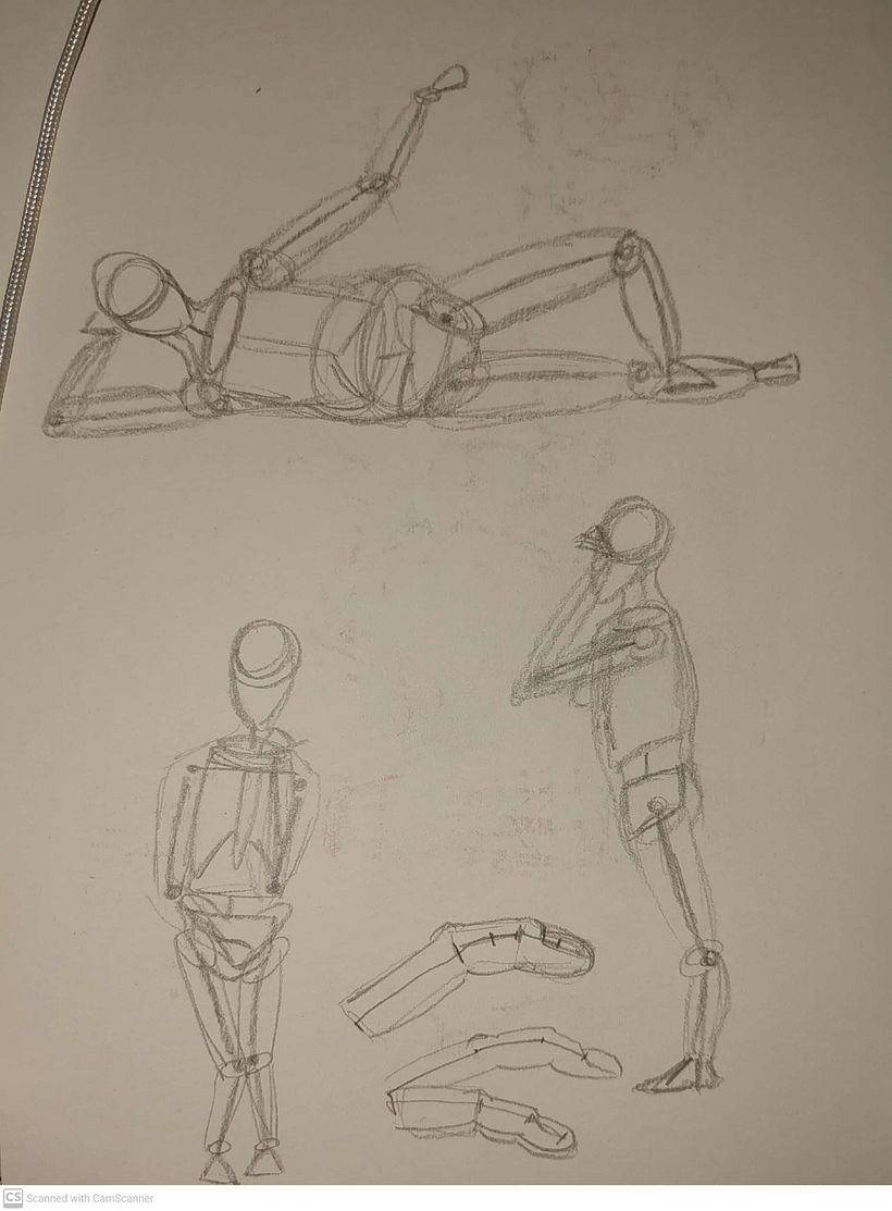 Mi proyecto del curso: Dibujo anatómico para principiantes 8