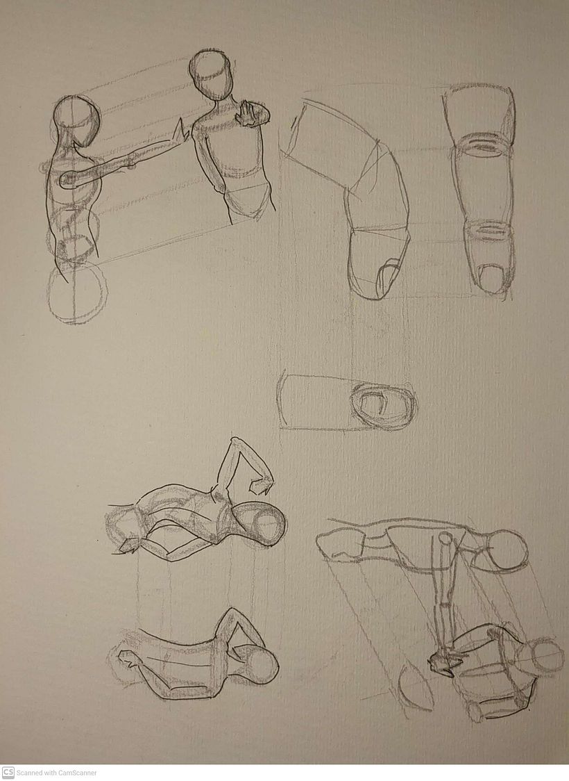 Mi proyecto del curso: Dibujo anatómico para principiantes 9