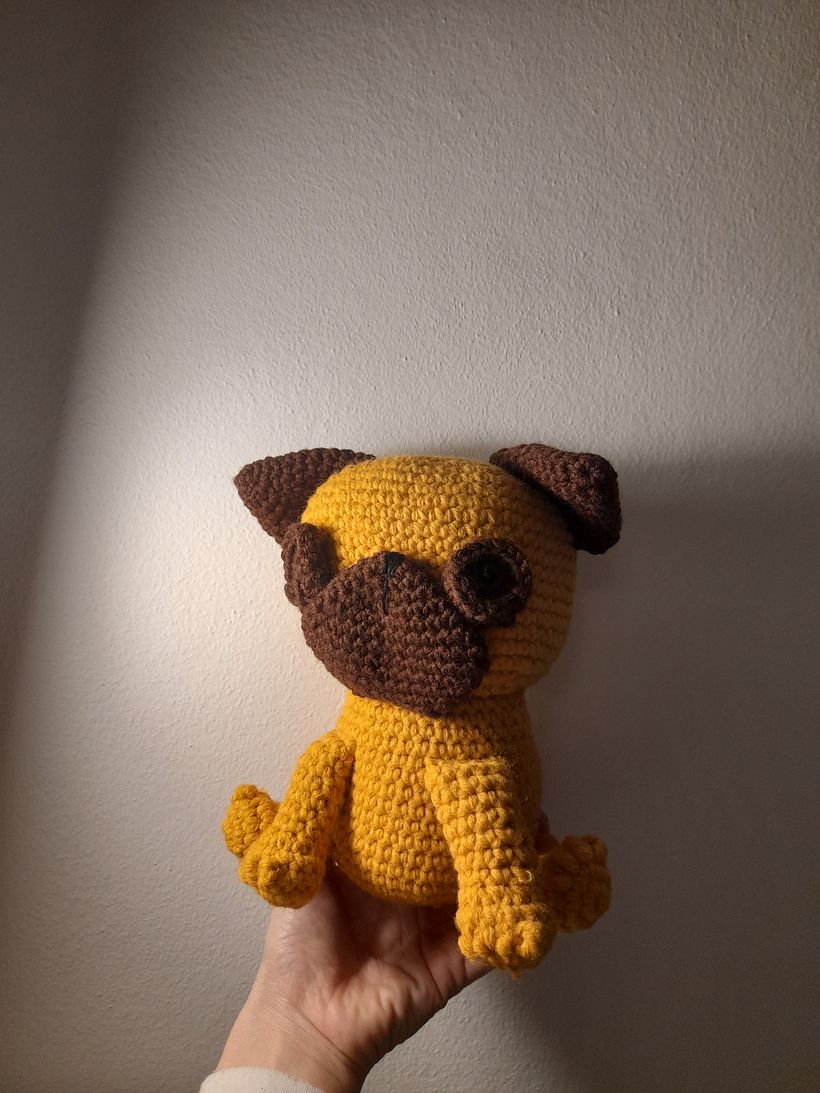 My project for course: Crochet Techniques: Make Amigurumi Characters 3