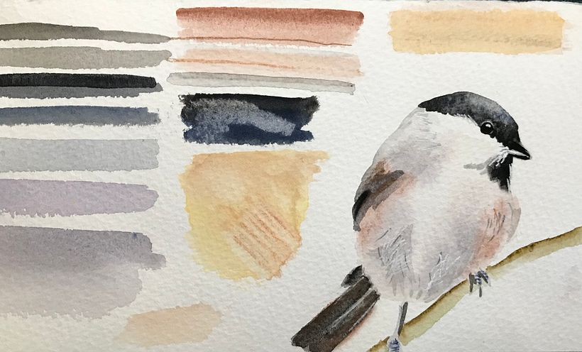 My project for course: Artistic Watercolor Techniques for Illustrating Birds 3