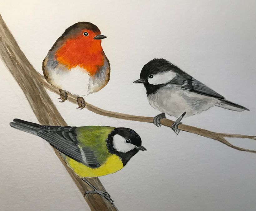 My project for course: Artistic Watercolor Techniques for Illustrating Birds 4