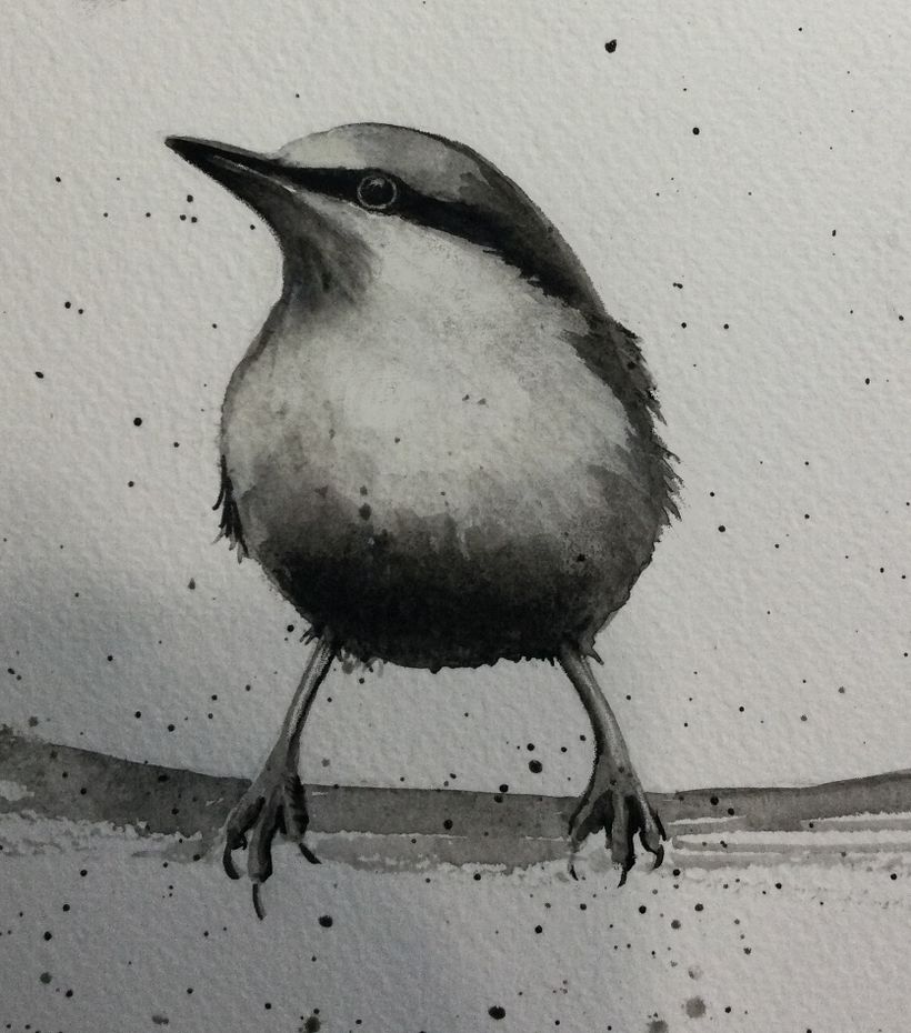 My project for course: Artistic Watercolor Techniques for Illustrating Birds 5
