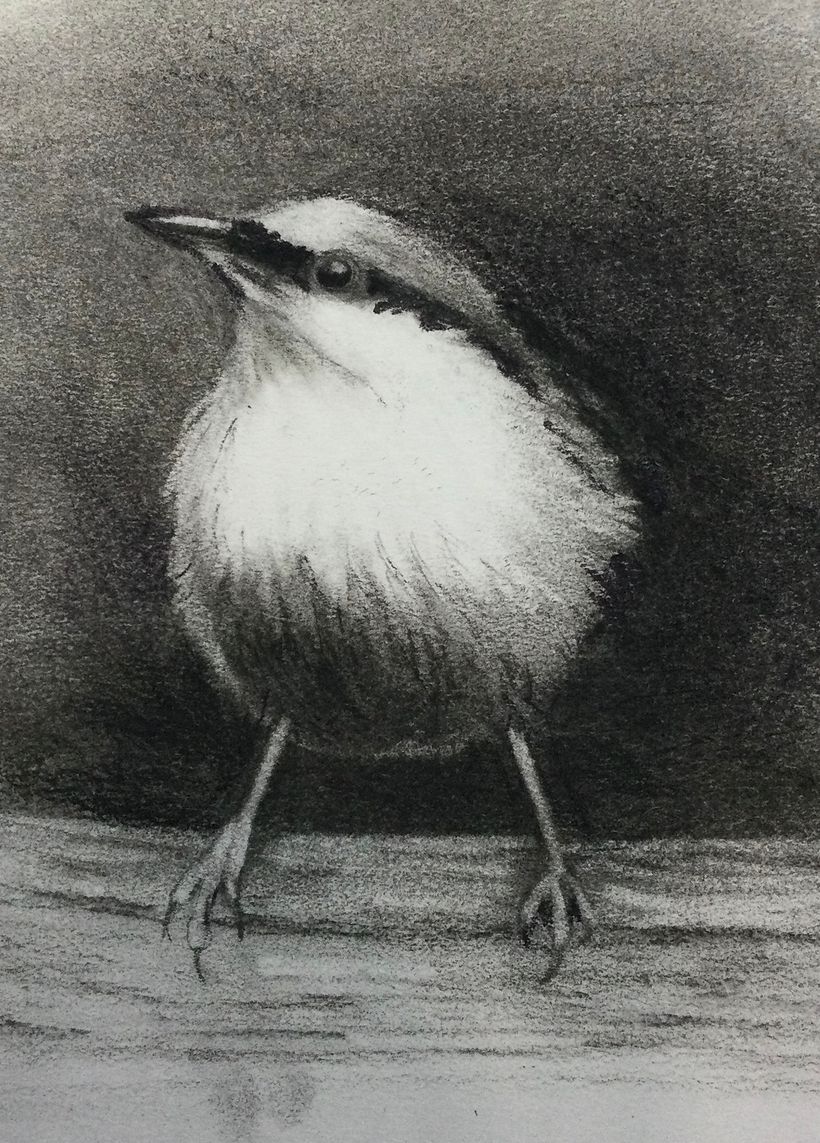 My project for course: Artistic Watercolor Techniques for Illustrating Birds 6