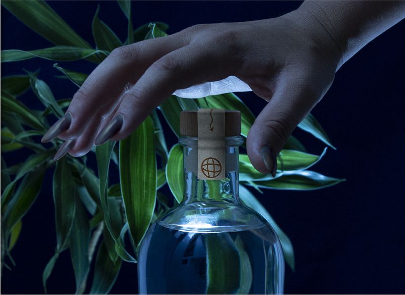 Mi proyecto del curso: MEDIUM GINEBRA 9