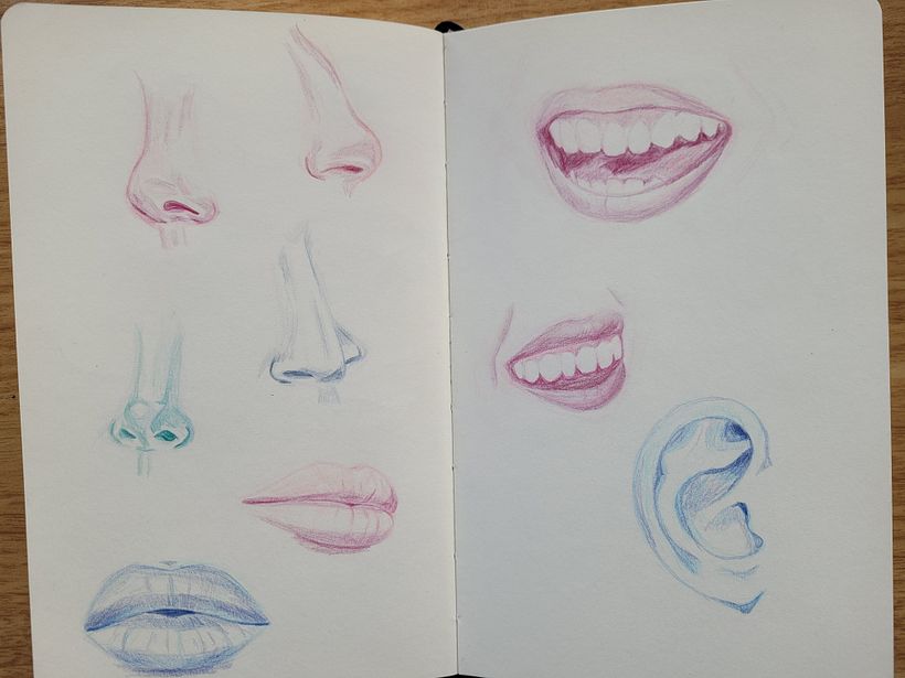 sketches of facial features