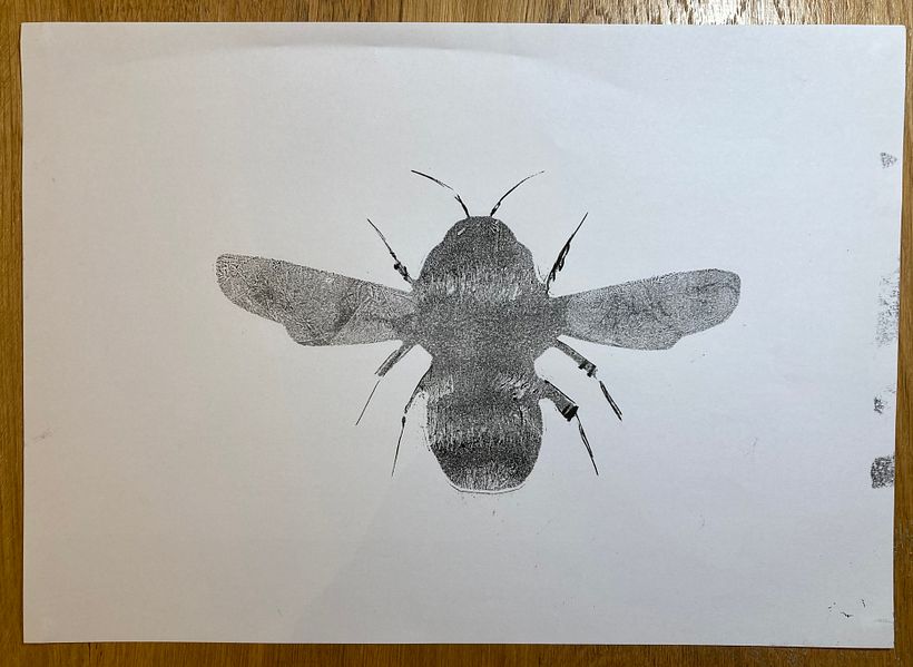 My project for course: Animal Illustration with Charcoal and Ink 4