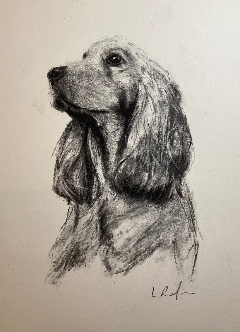 My project for course: Animal Illustration with Charcoal and Ink 6