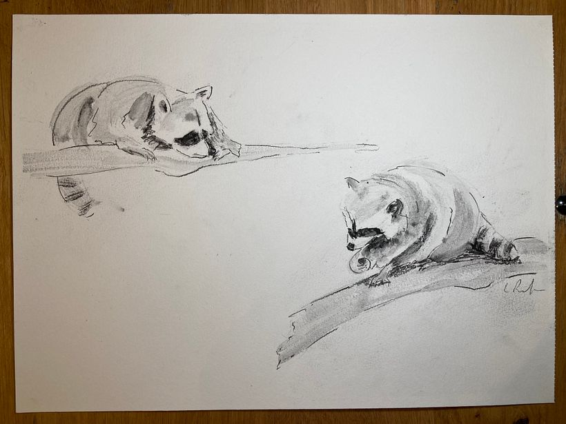 My project for course: Animal Illustration with Charcoal and Ink 7