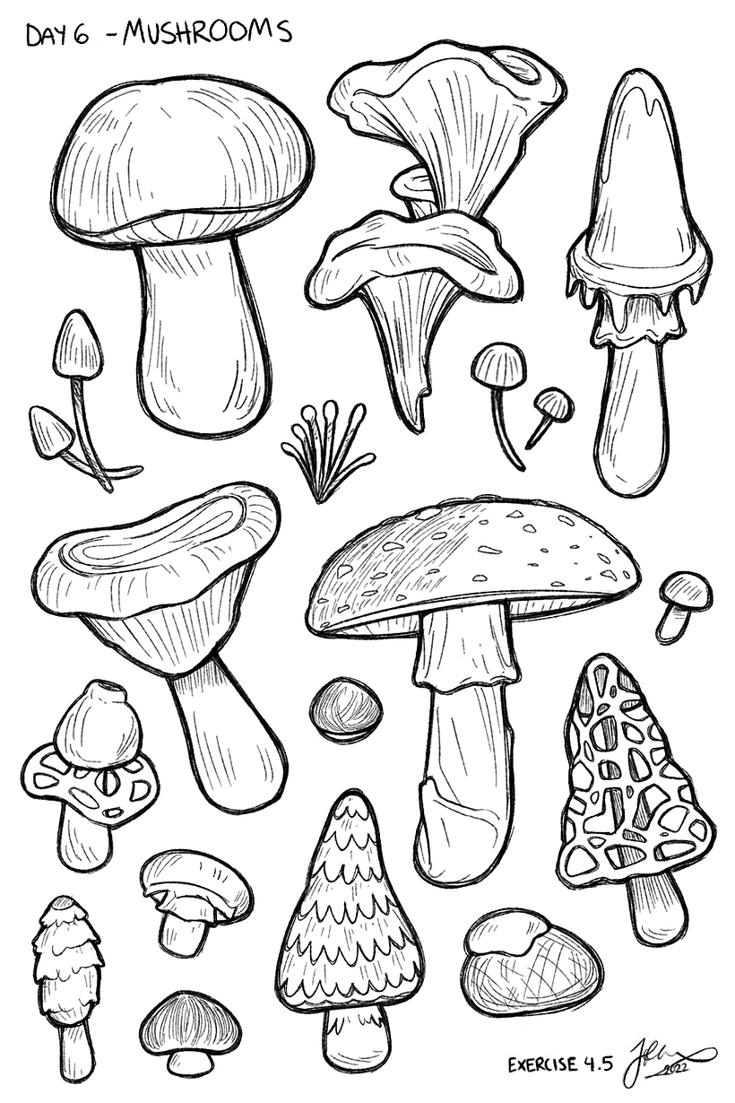Project: Creative Drawing Techniques for Beginners - Art Journey 4