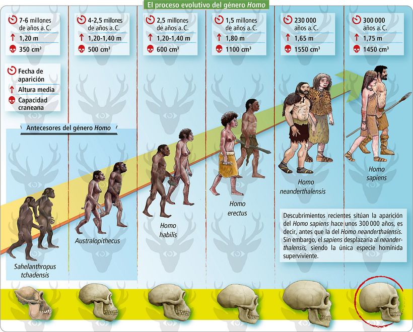 Infografías educativas 7