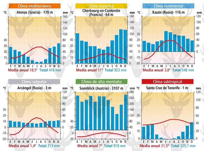 Infografías educativas 10