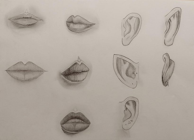 Estudio partes del cuerpo 2