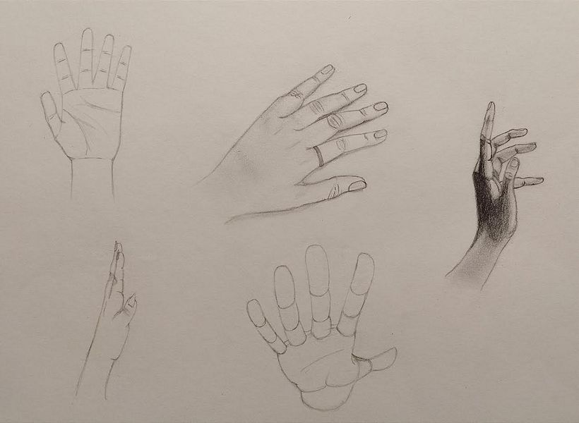 Estudio partes del cuerpo 3