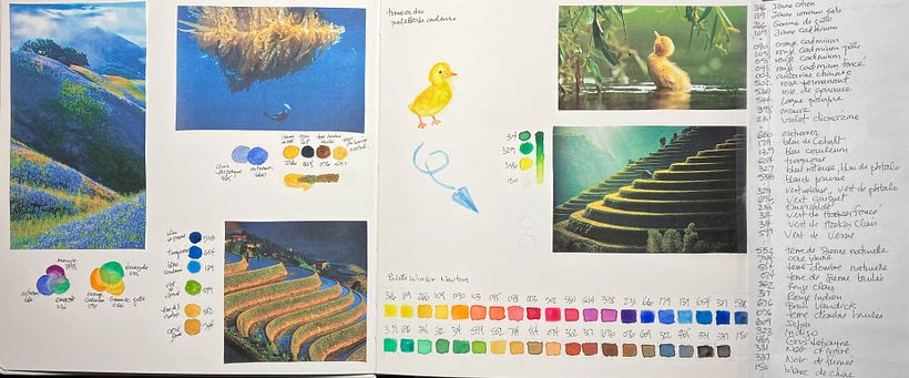 Palettes de couleurs et éléments naratifs