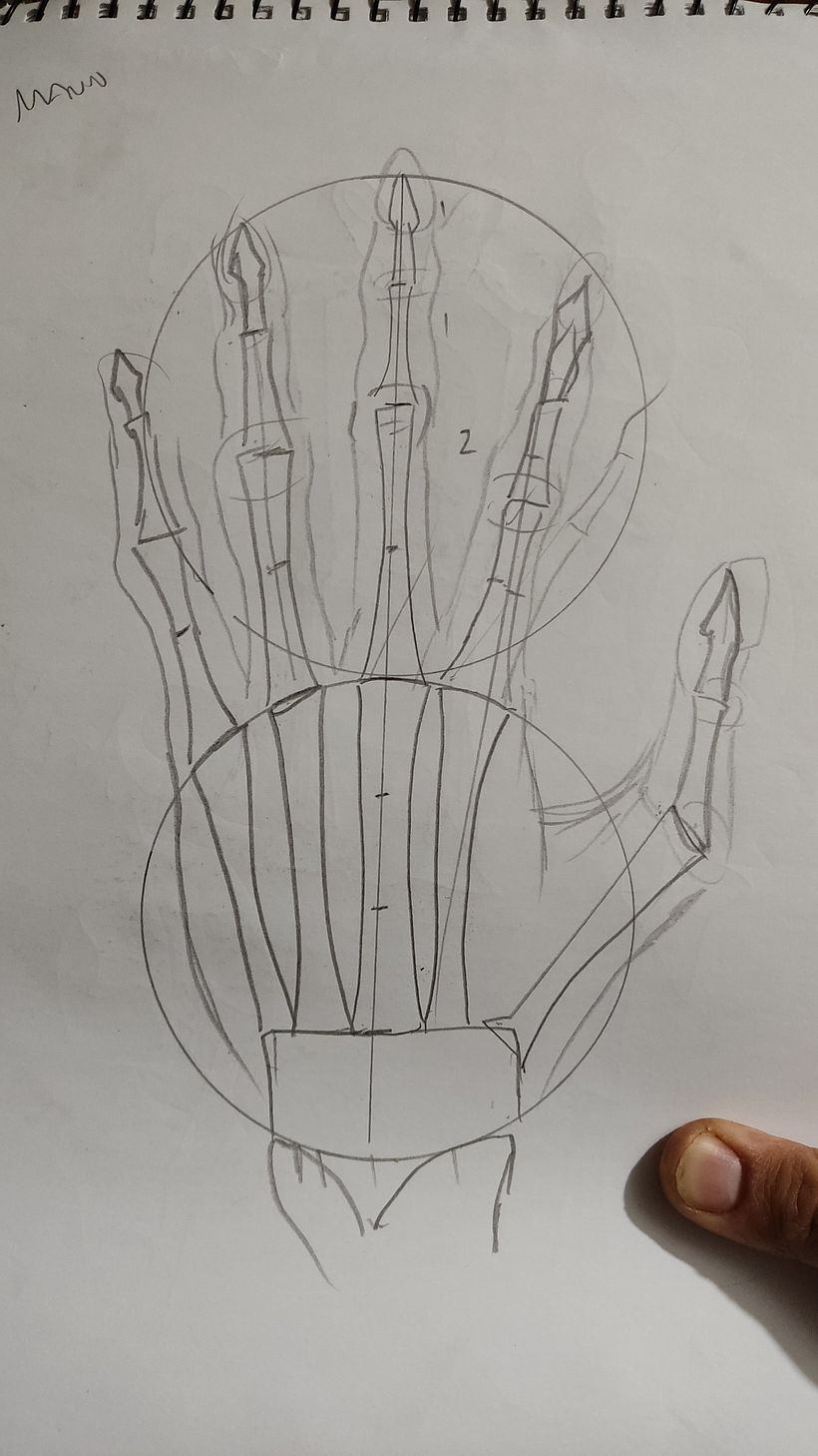 Mi proyecto del curso: Dibujo anatómico para principiantes 3