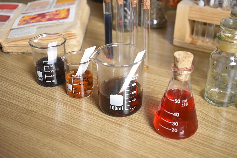 Nuestro proyecto del curso: Creación de acuarelas líquidas y tintas botánicas 15