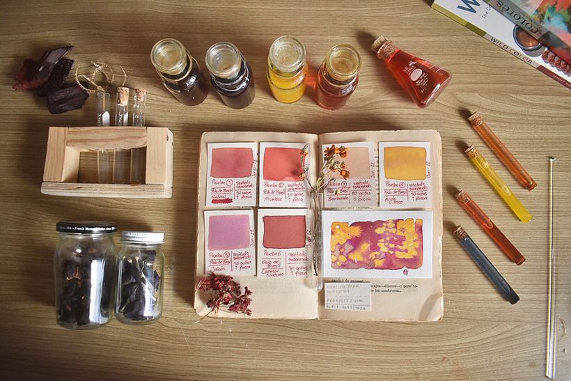 Nuestro proyecto del curso: Creación de acuarelas líquidas y tintas botánicas 9
