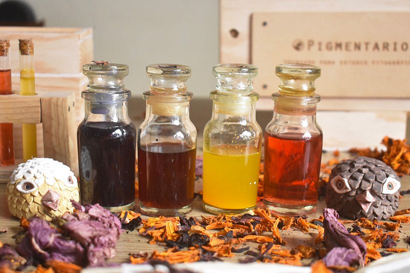 Nuestro proyecto del curso: Creación de acuarelas líquidas y tintas botánicas 5