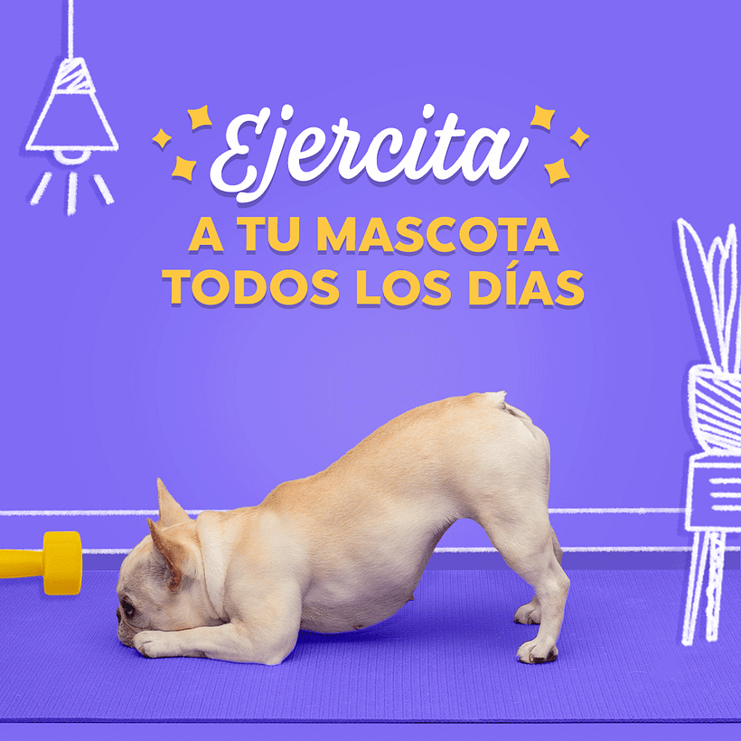 Contenido de Redes