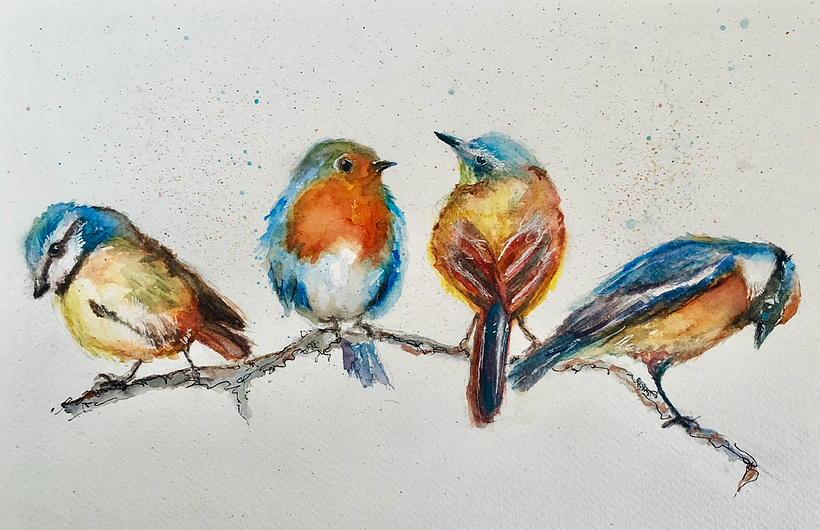 Bird Watercolor Sara Stokes Final Project
