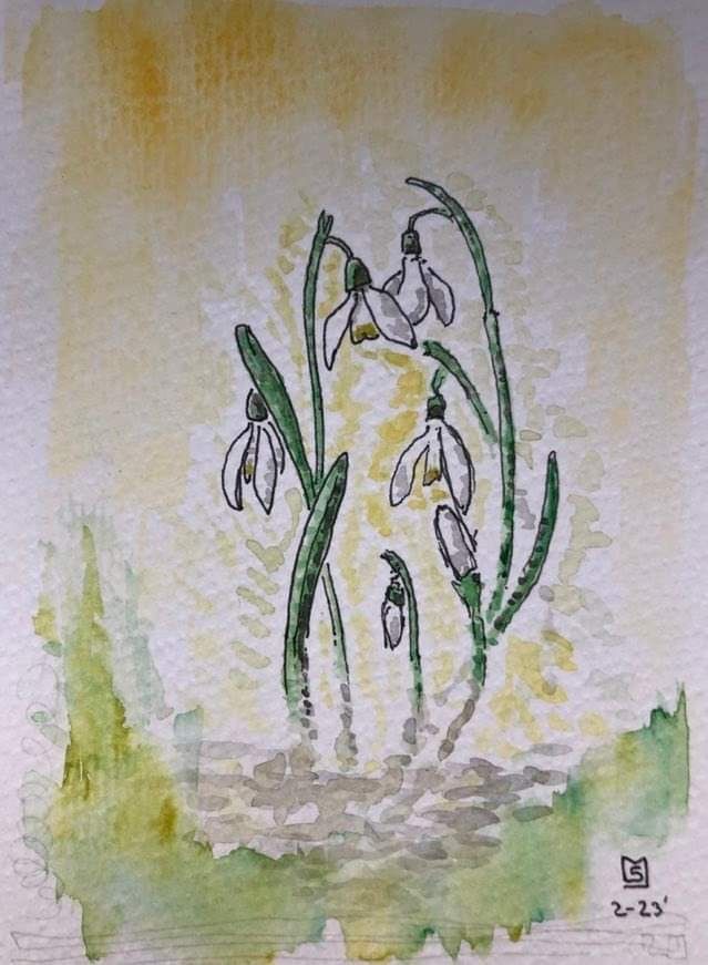 Snowdrop 1