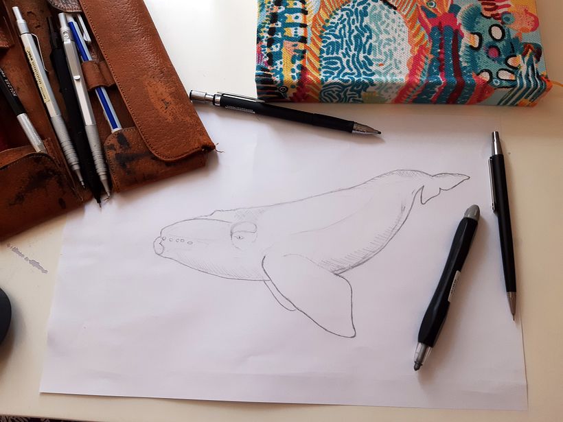 Proyecto: Técnicas de ilustración naturalista: ballenas en acuarela 4