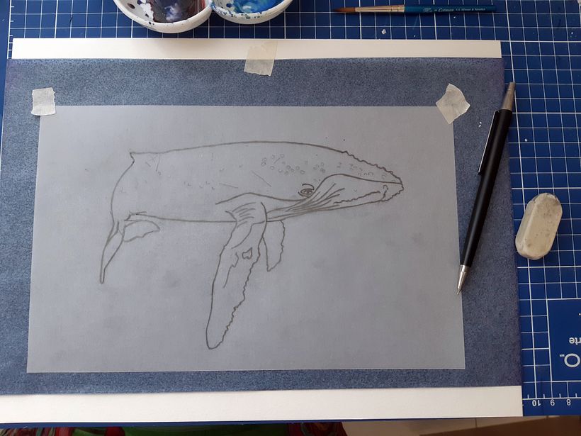 Proyecto: Técnicas de ilustración naturalista: ballenas en acuarela 5