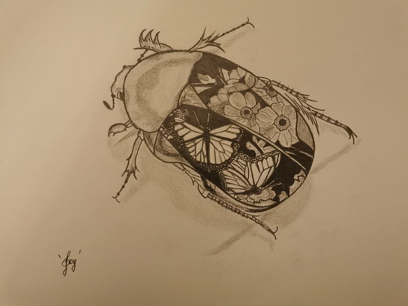 El escarabajo 1