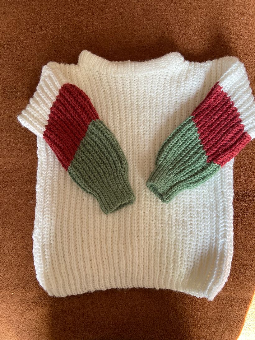 Mi proyecto del curso: Crochet: crea prendas con una sola aguja 1