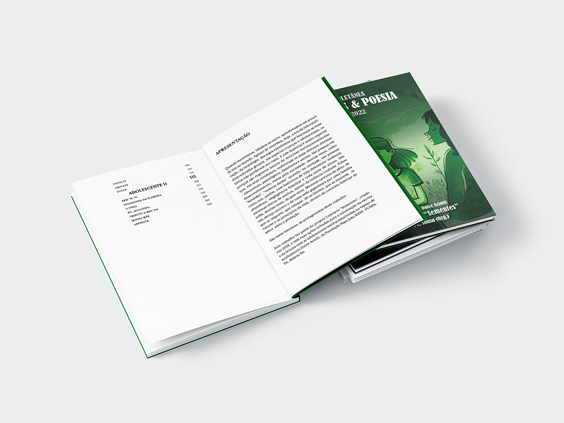 Livro aberto exemplo