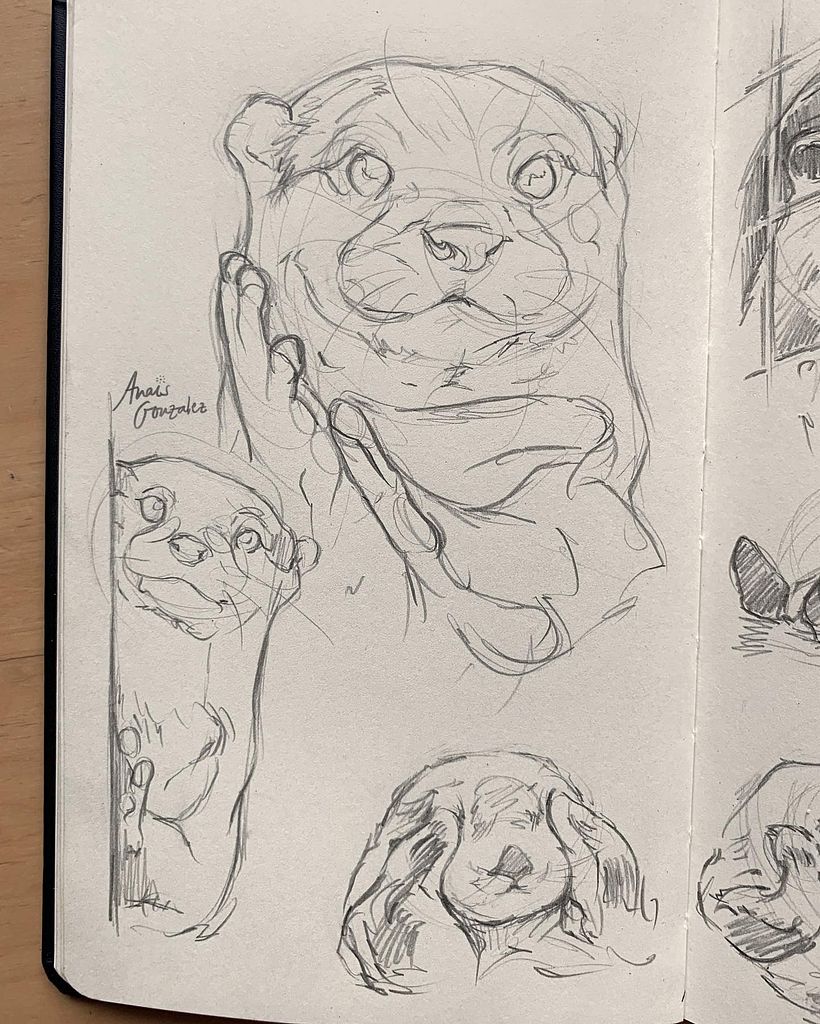 Cute otter sketches 🦦✨ / Bocetos de nutrias cuquis 🦦✨ 2