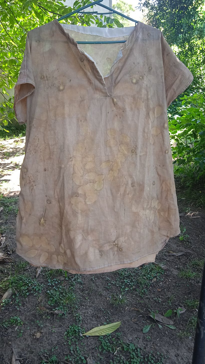 Mi proyecto del curso: Impresión botánica en textil y papel 3