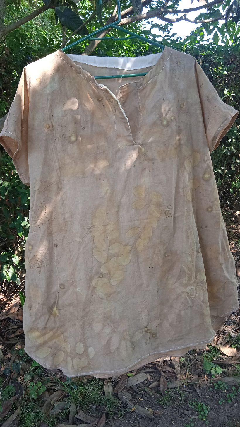 Mi proyecto del curso: Impresión botánica en textil y papel 6